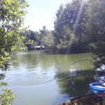 20180708_134728